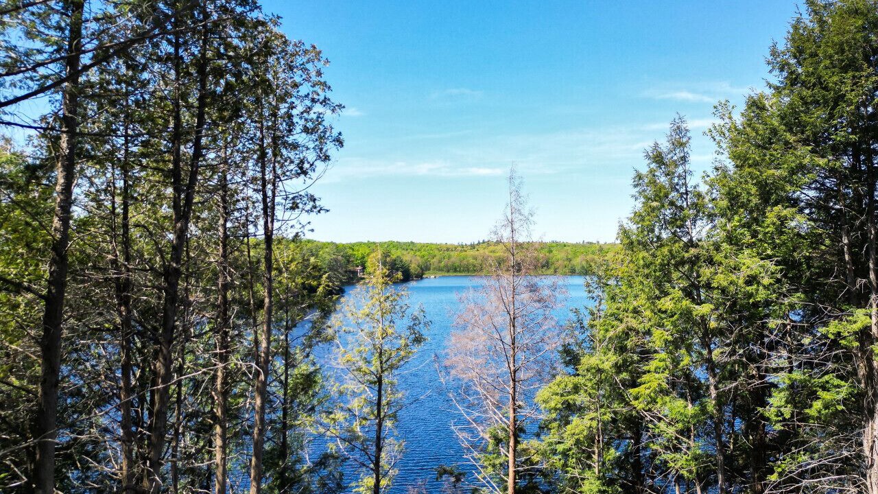 Photo of Others in Bracebridge