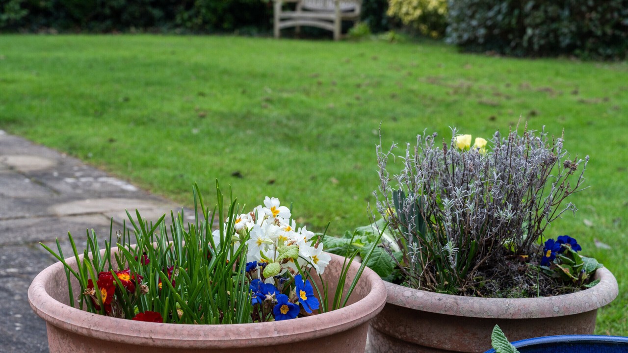 Photo of Outdoor in Rock