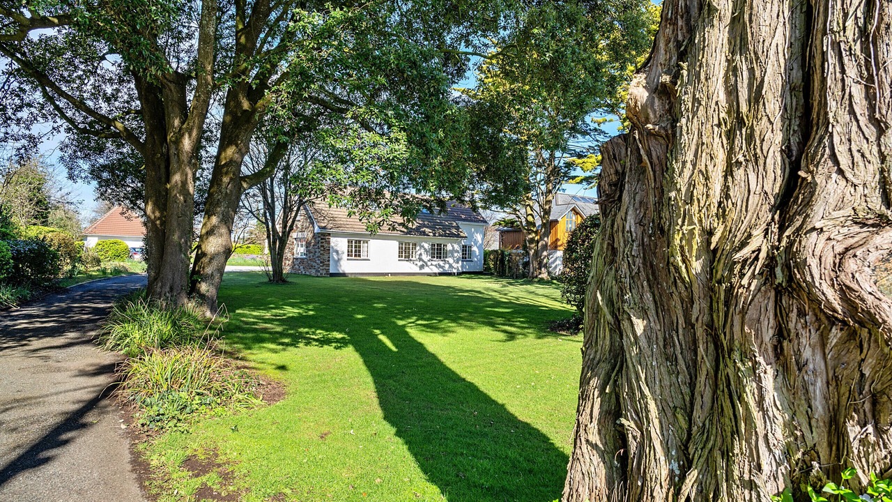 Photo of Outdoor in Rock