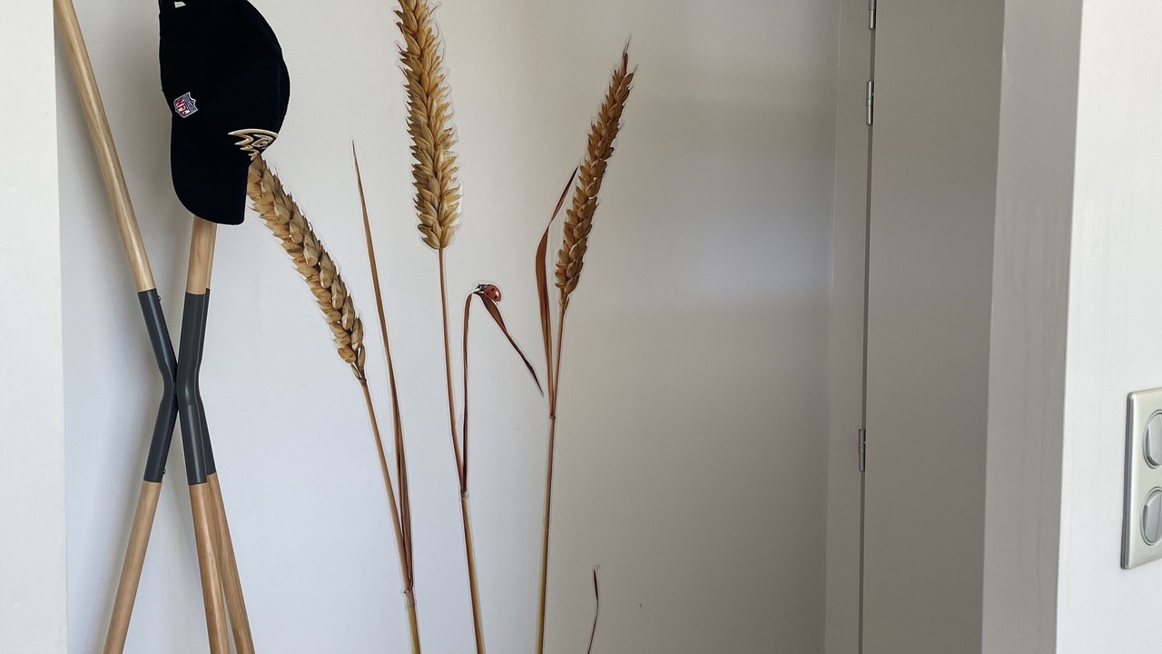 Photo of Others in Salvezines