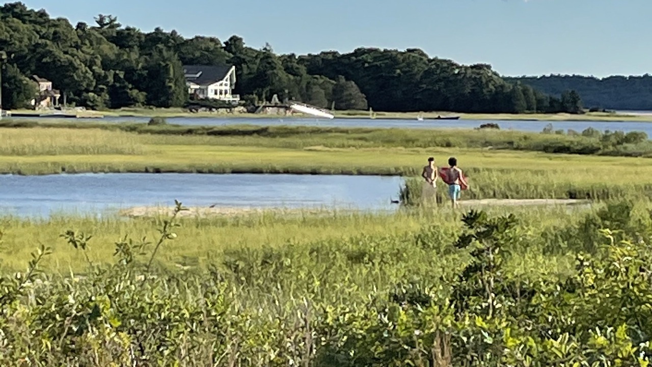 Photo of Others in Wareham