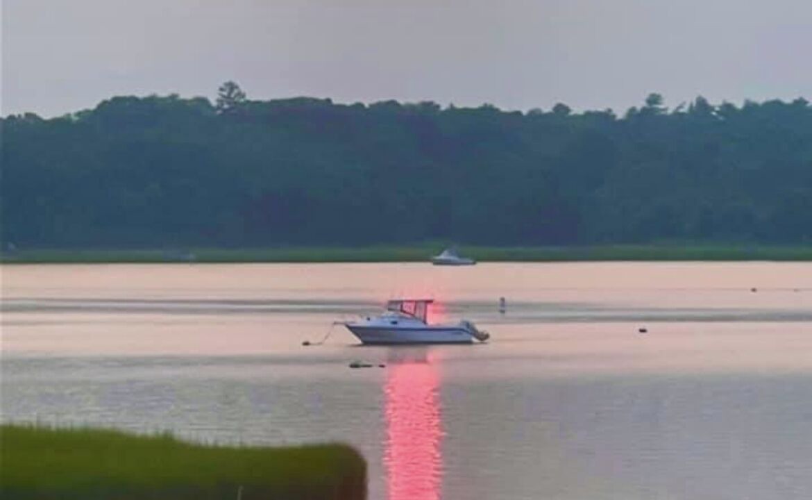 Photo of Others in Wareham