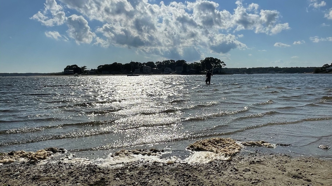 Photo of Others in Wareham