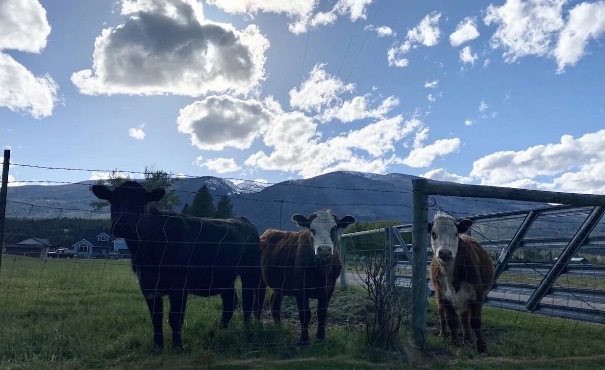 Photo of Outdoor in Grantsdale