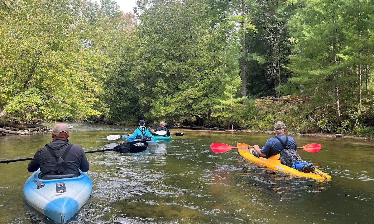 Photo of Others in Baldwin