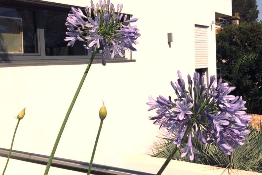 Photo of Outdoor in Frejus