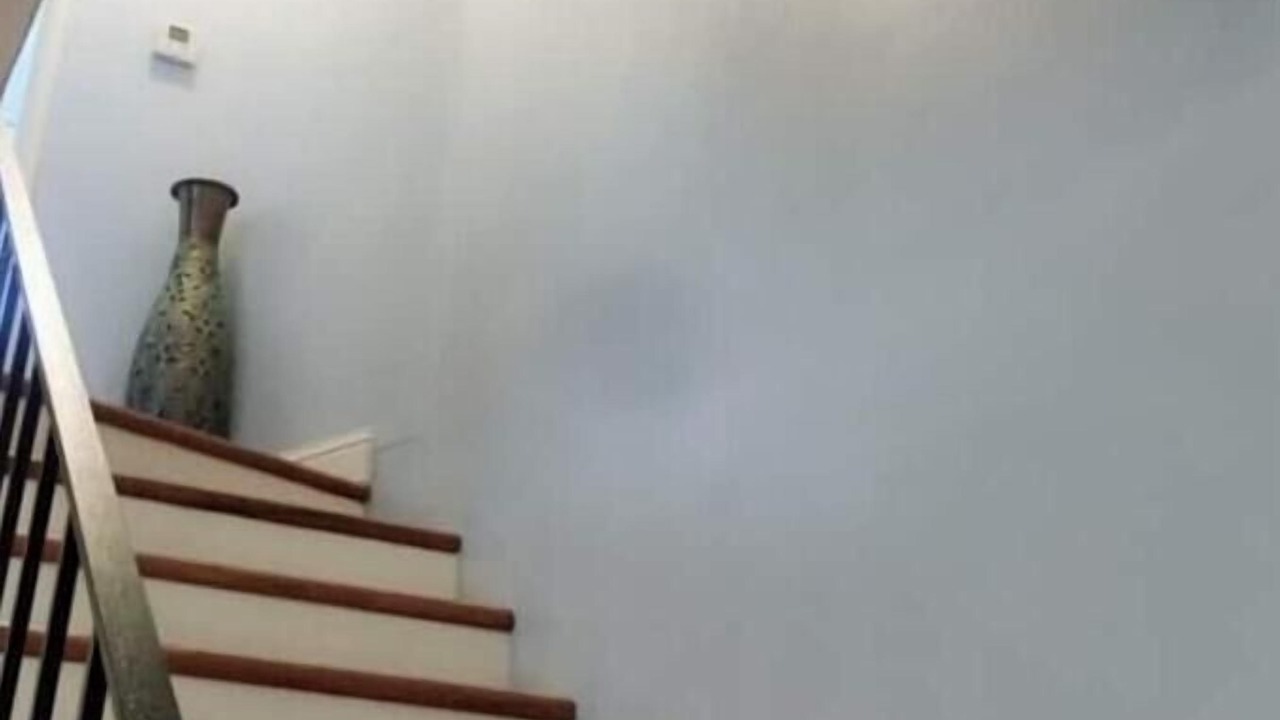 Photo of Others in West Alameda