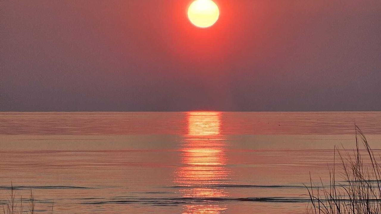 Photo of Others in Machipongo