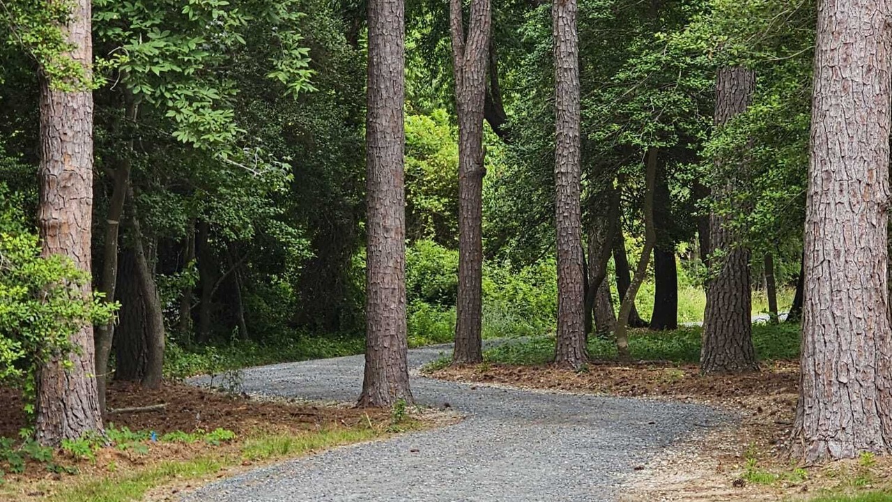 Photo of Outdoor in Machipongo