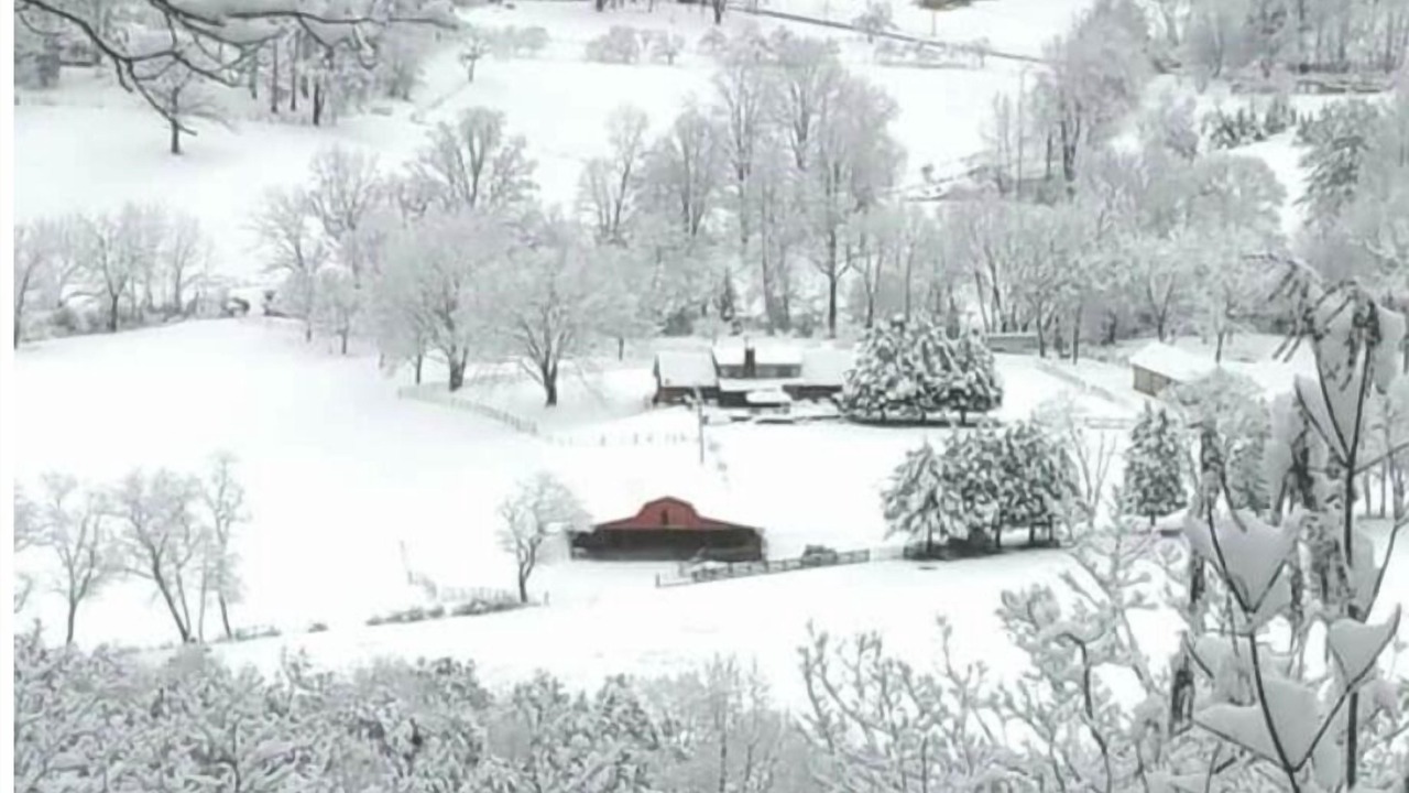 Photo of Others in Rabun Gap
