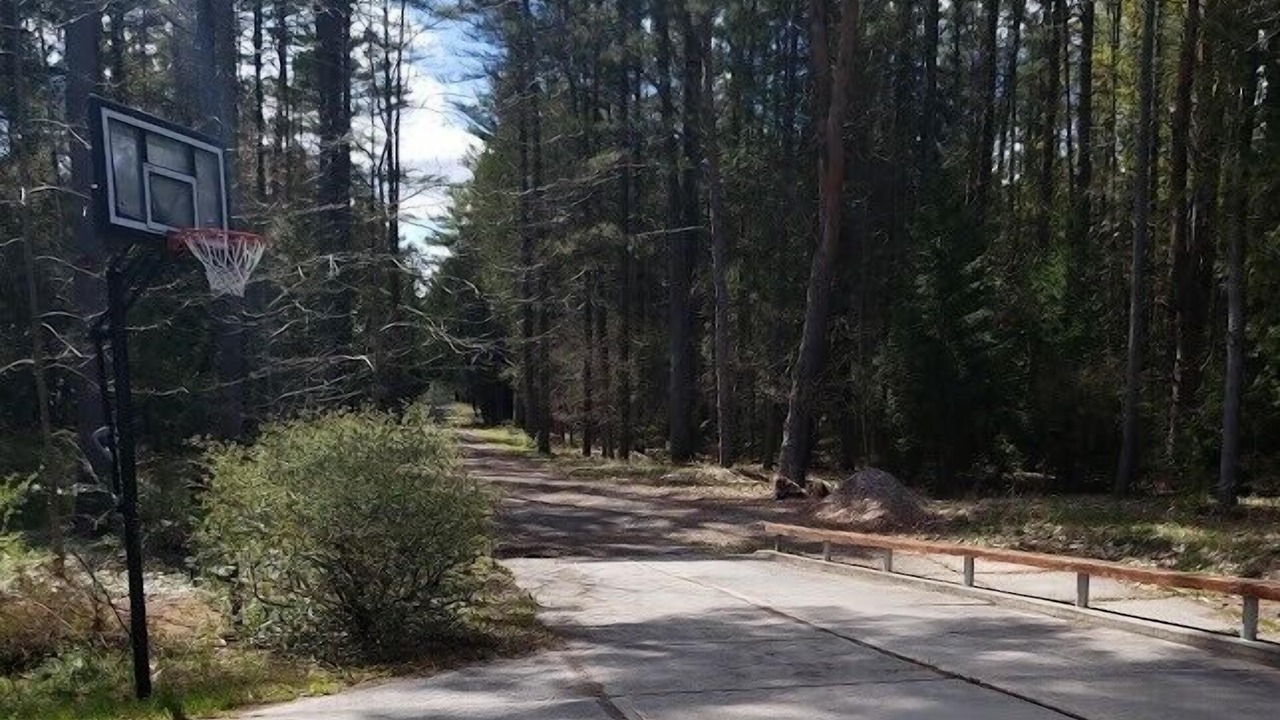 Photo of Others in Willsboro