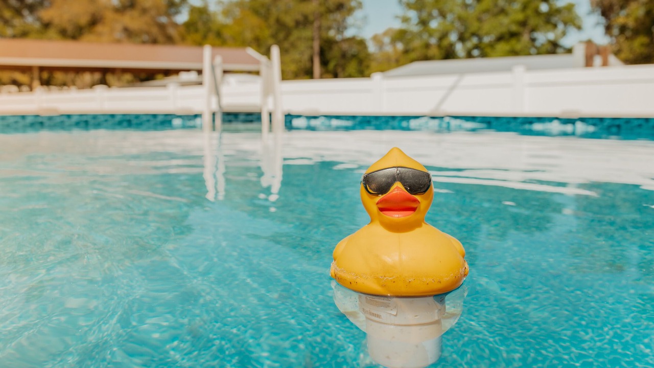 Photo of Outdoor in Steinhatchee