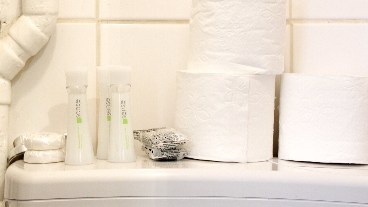Photo of Bathroom in Pantin