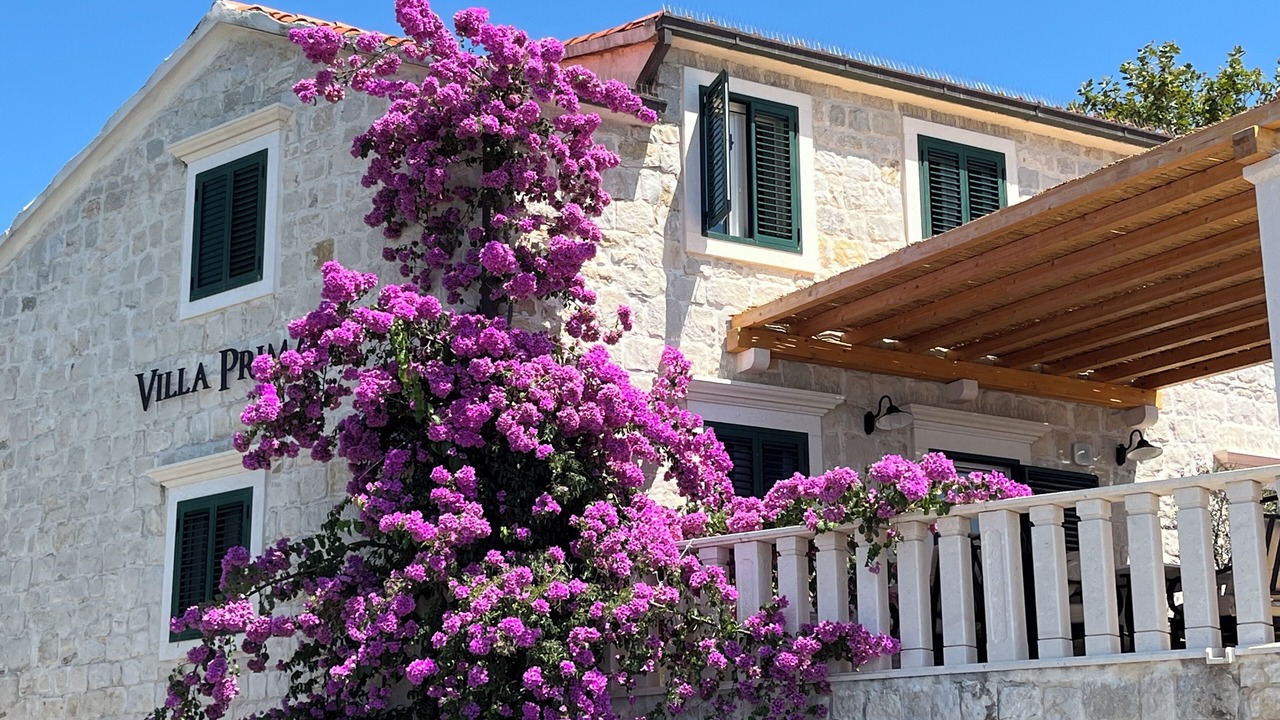 Photo of Outdoor in Kastel Stafilic