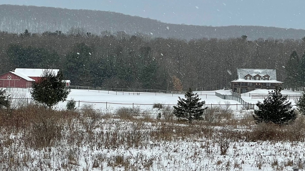 Photo of Others in Naples