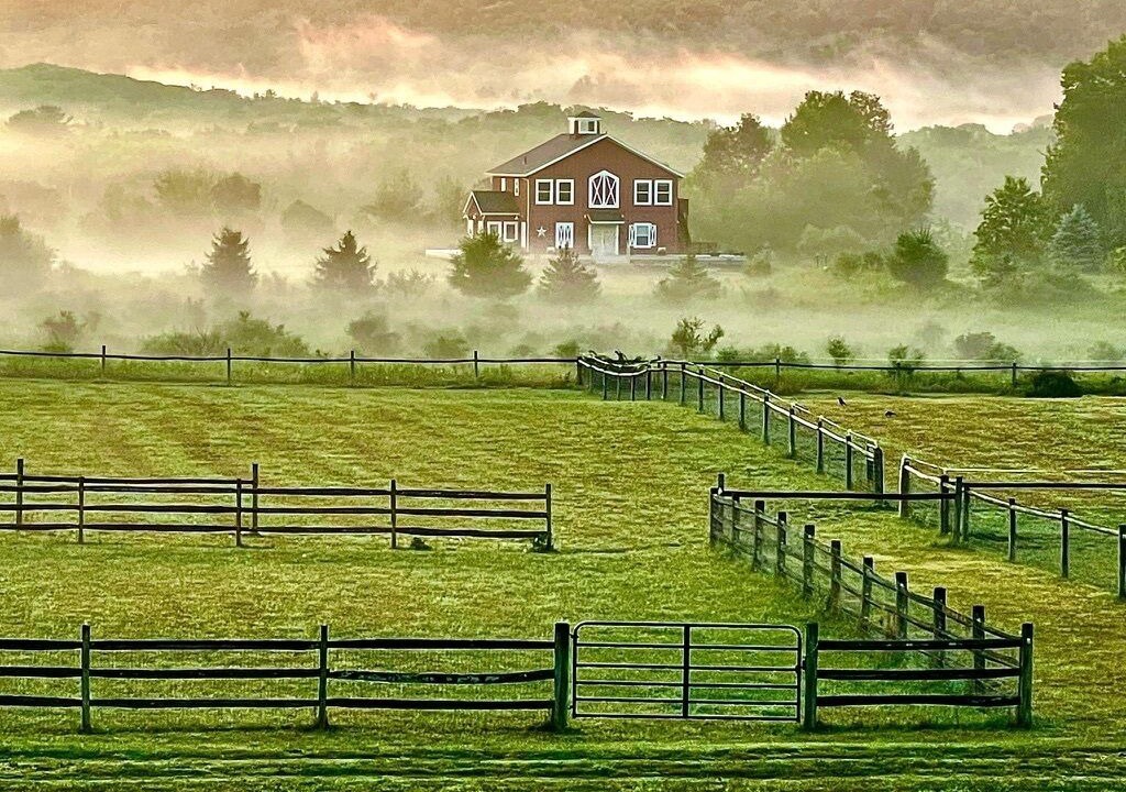 Photo of Others in Naples