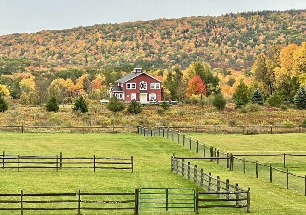Photo of Others in Naples