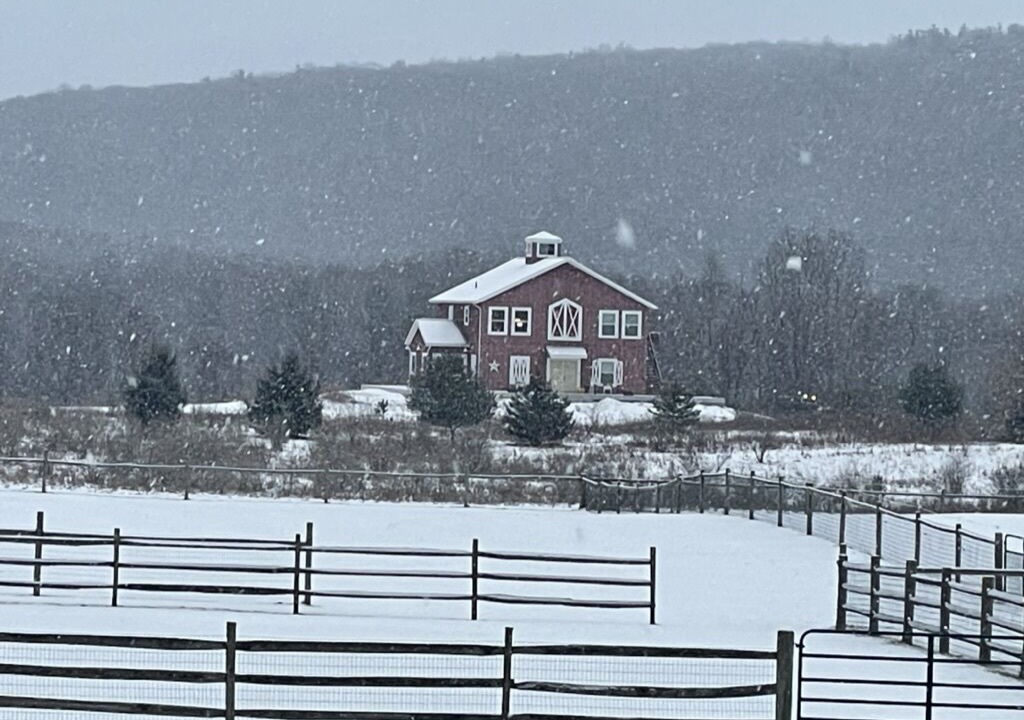 Photo of Others in Naples