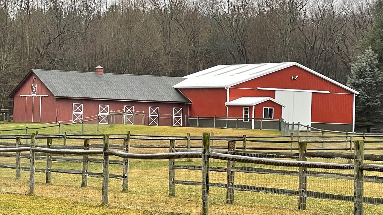 Photo of Others in Naples