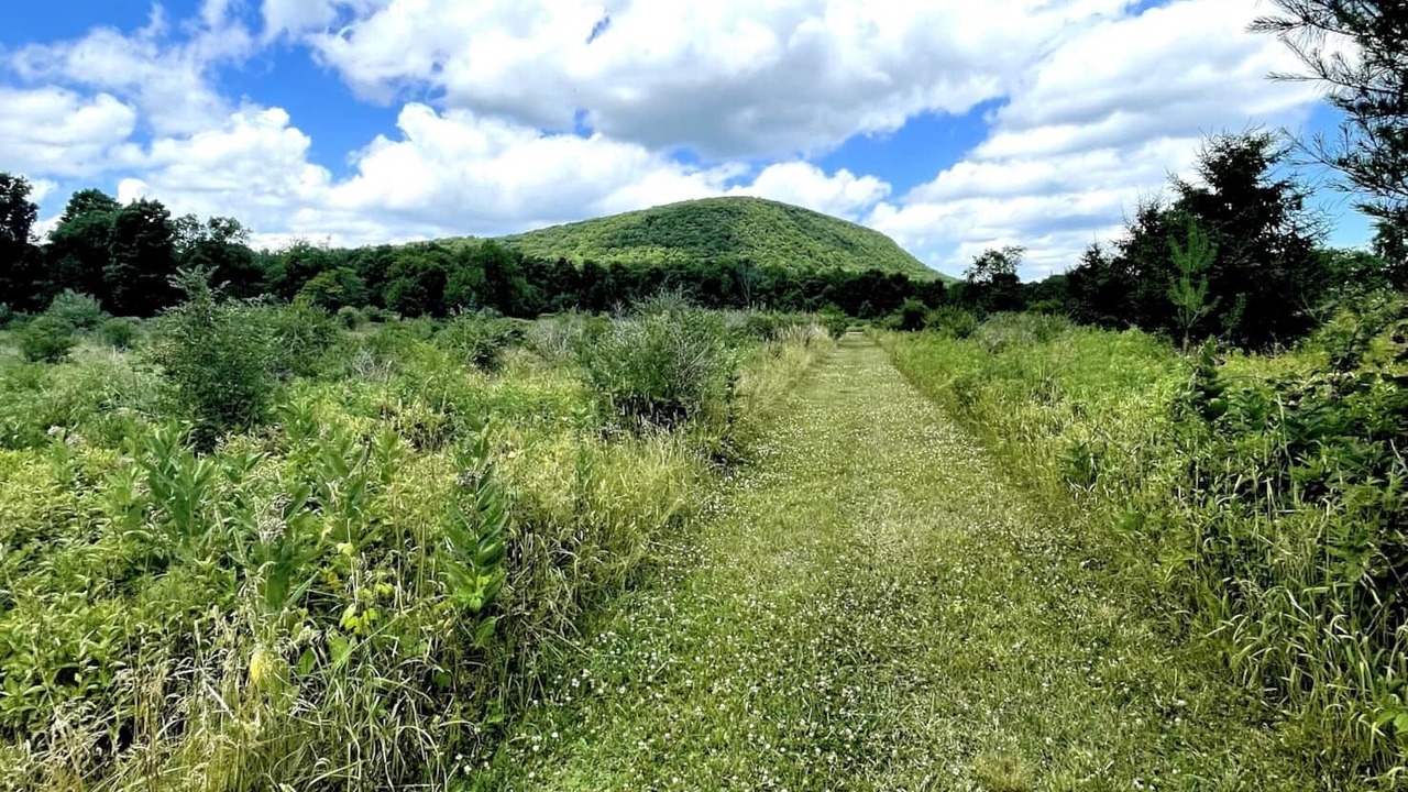 Photo of Others in Naples