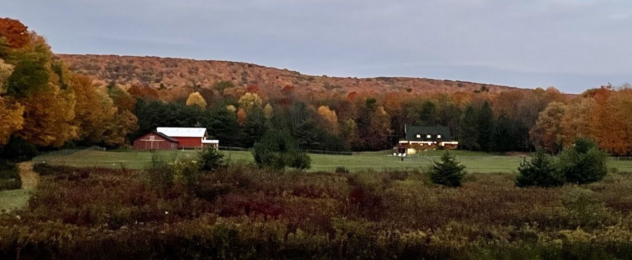 Photo of Others in Naples