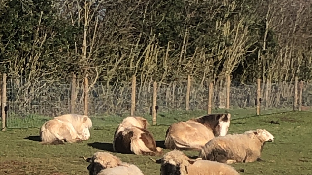 Photo of Outdoor in Coalpit Heath