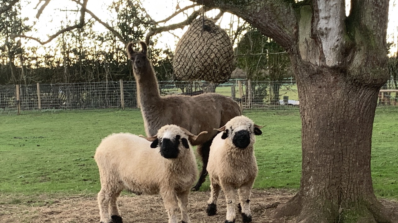 Photo of Outdoor in Coalpit Heath