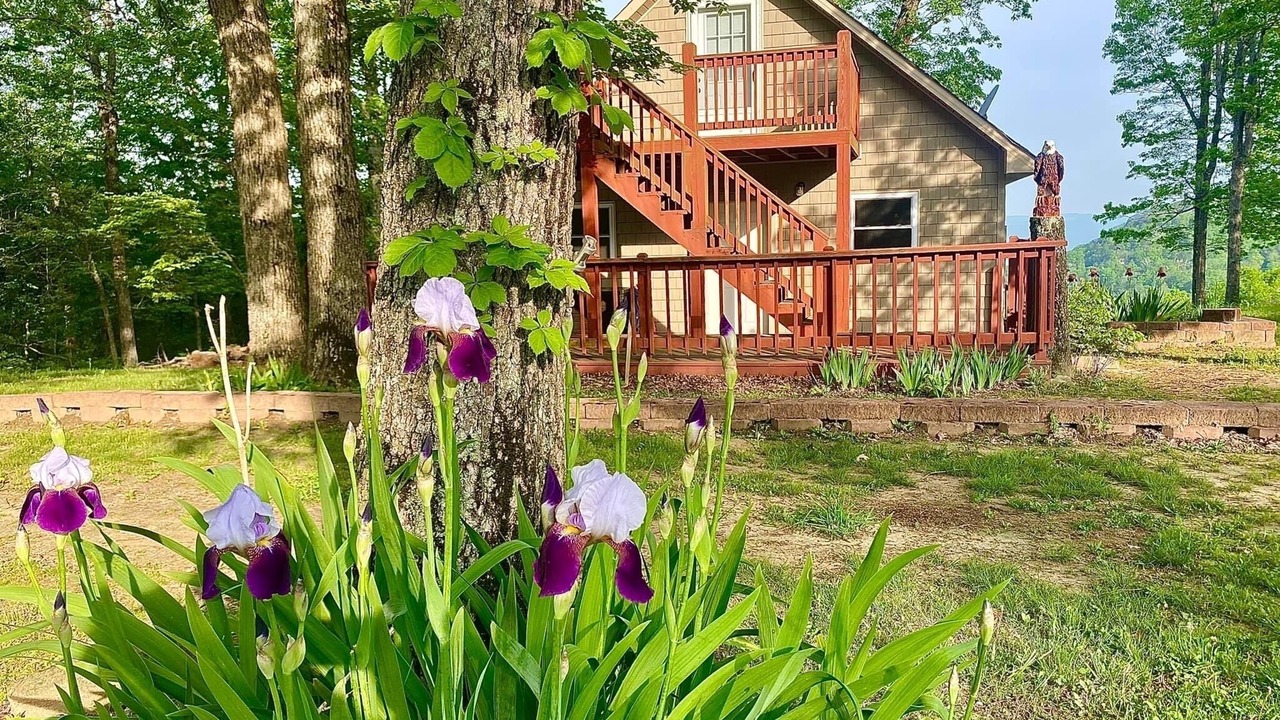 Photo of Outdoor in Jasper