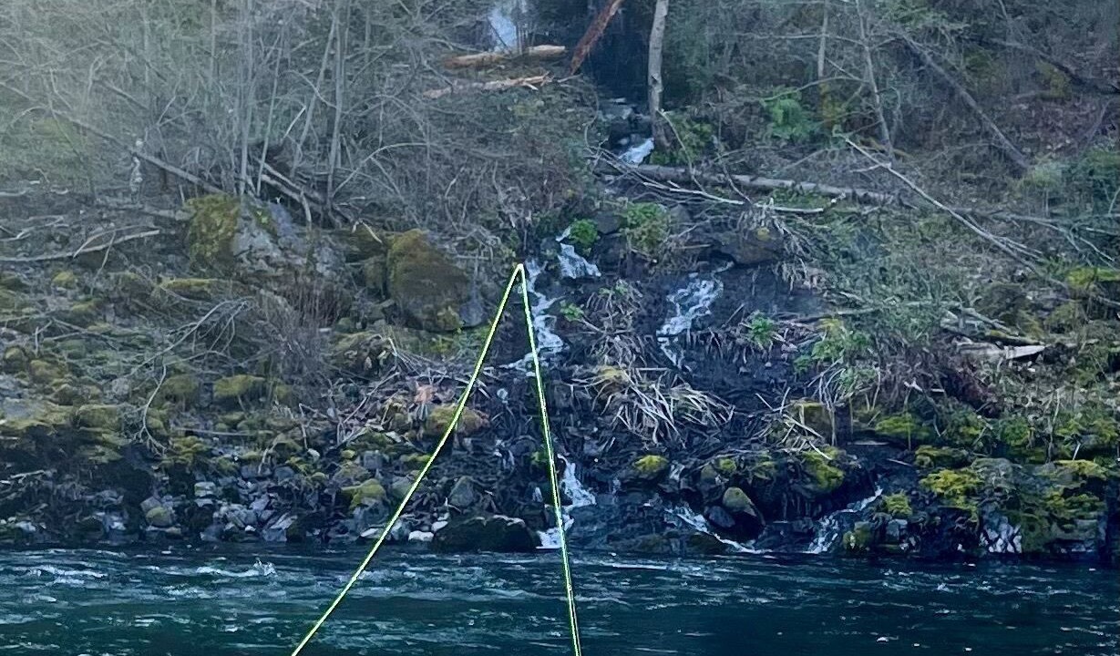 Photo of Others in Junction City