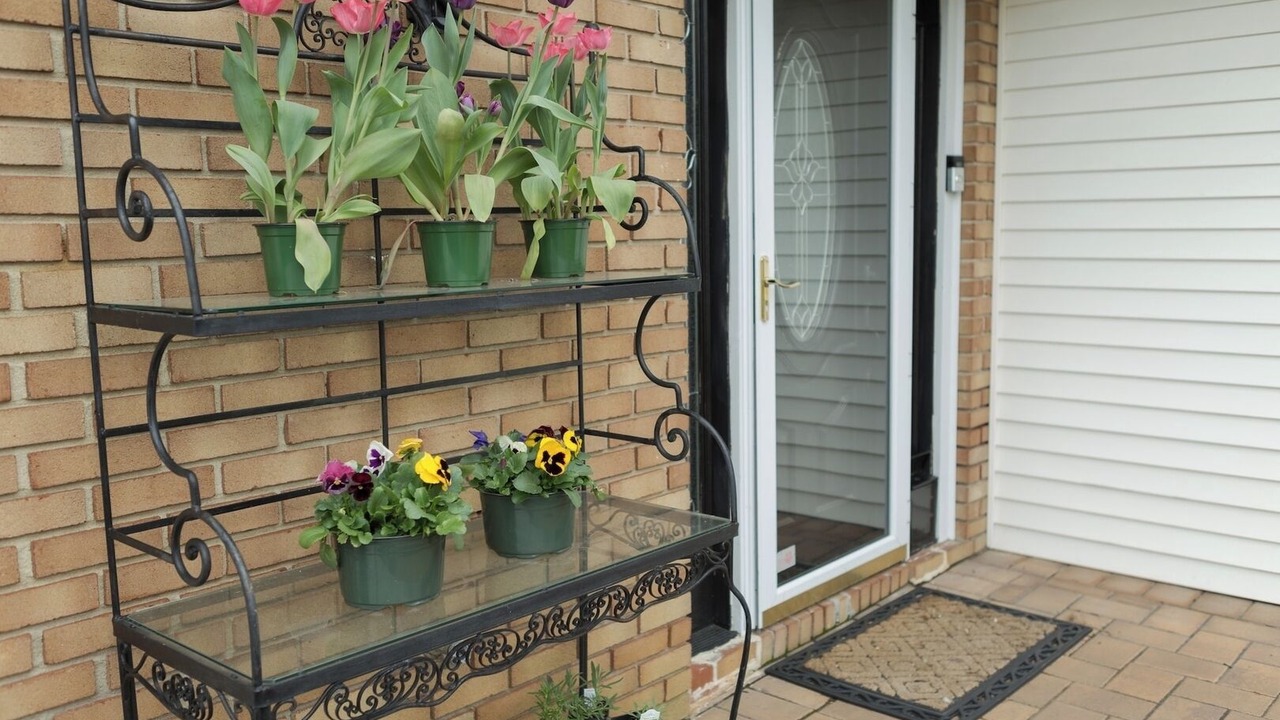 Photo of Outdoor in West Freehold