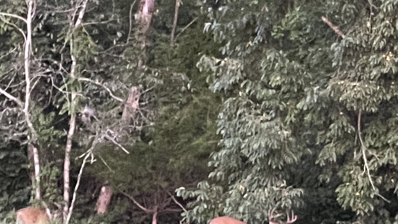 Photo of Others in Thomasville