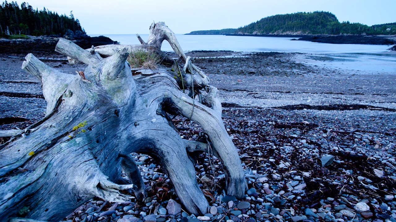 Photo of Others in Chance Harbour