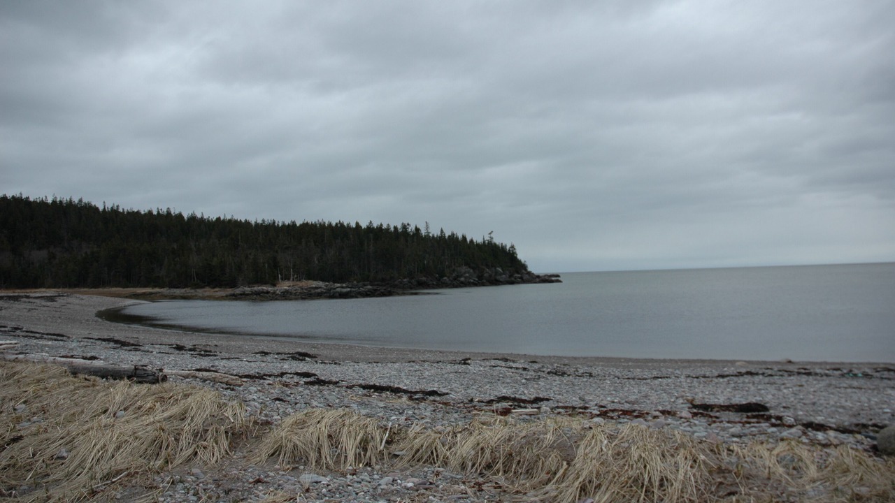 Photo of Others in Chance Harbour