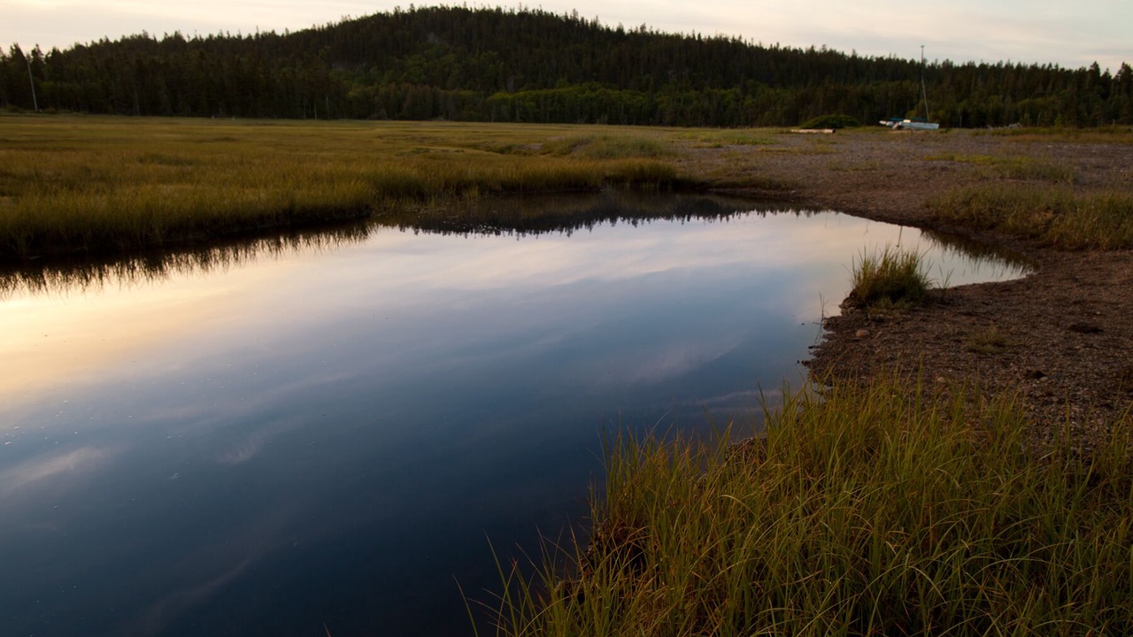 Photo of Others in Chance Harbour