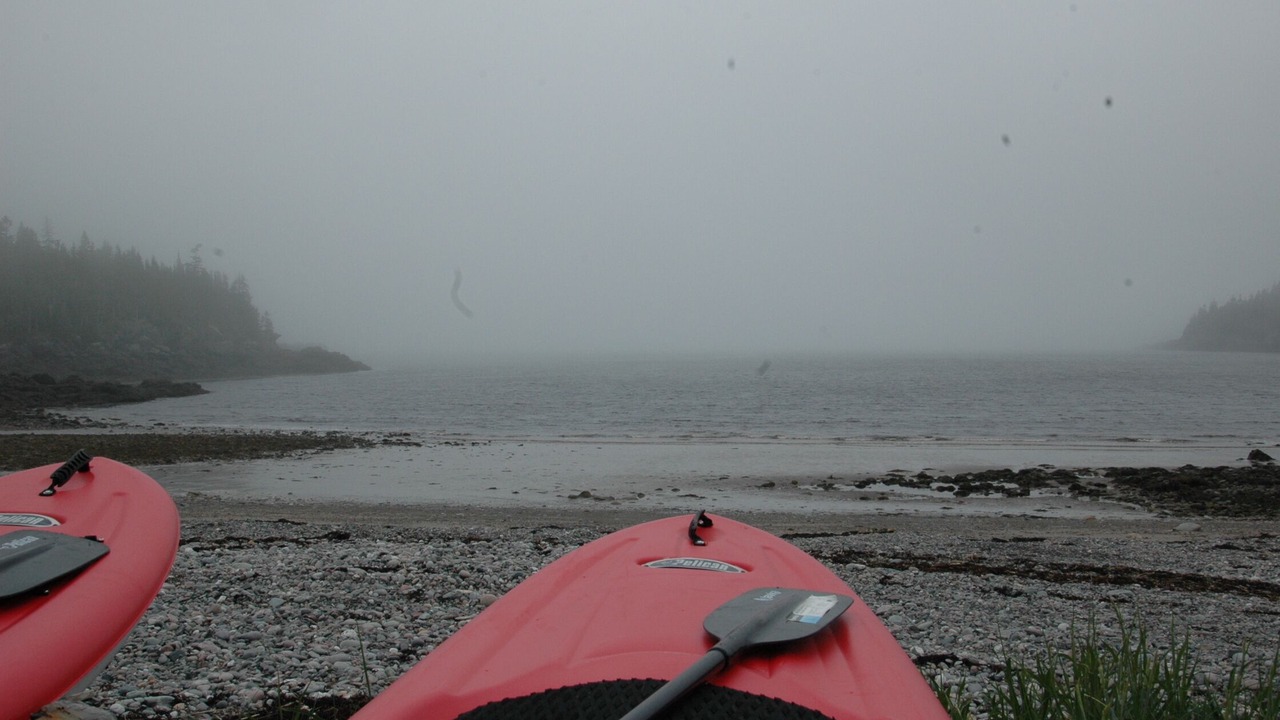 Photo of Others in Chance Harbour