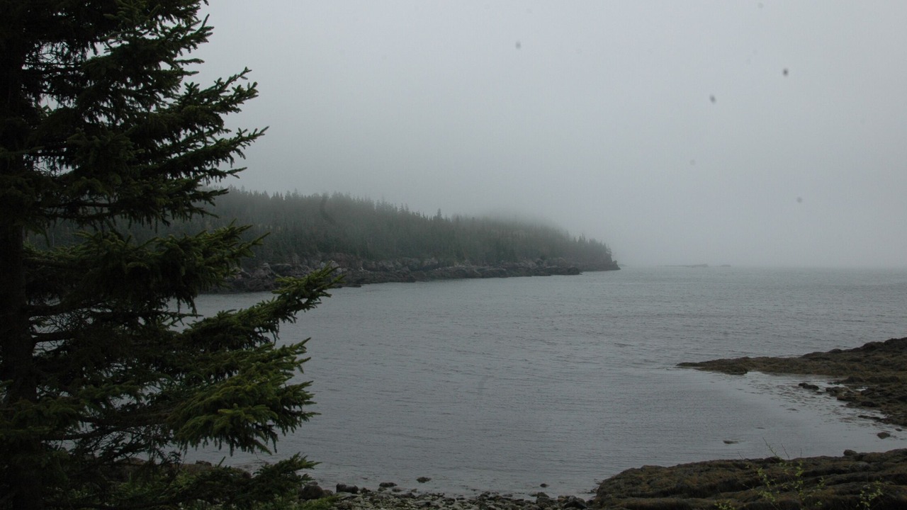 Photo of Outdoor in Chance Harbour