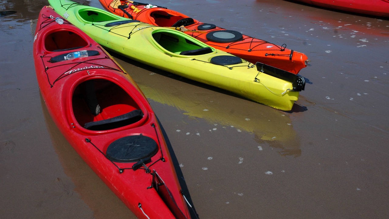 Photo of Others in Chance Harbour