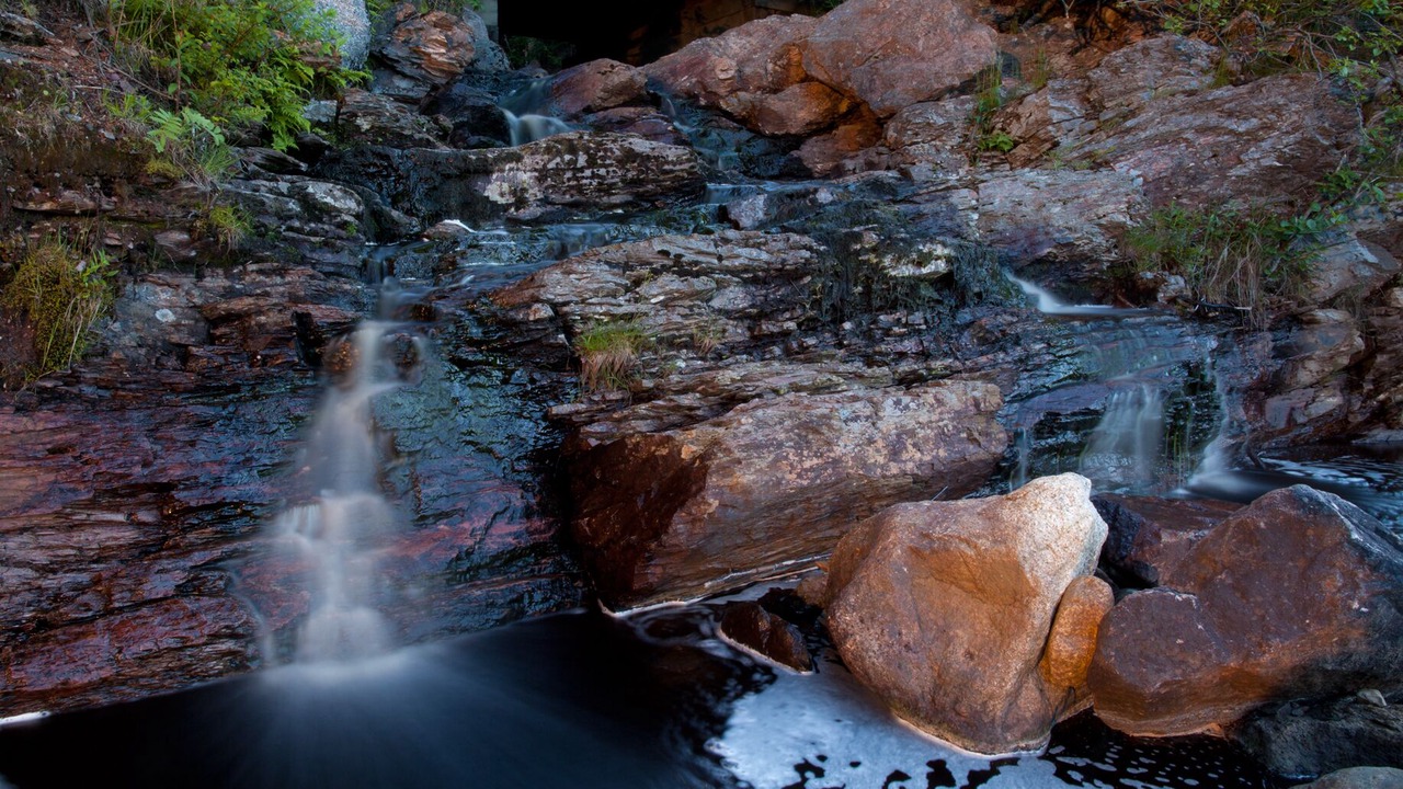 Photo of Others in Chance Harbour