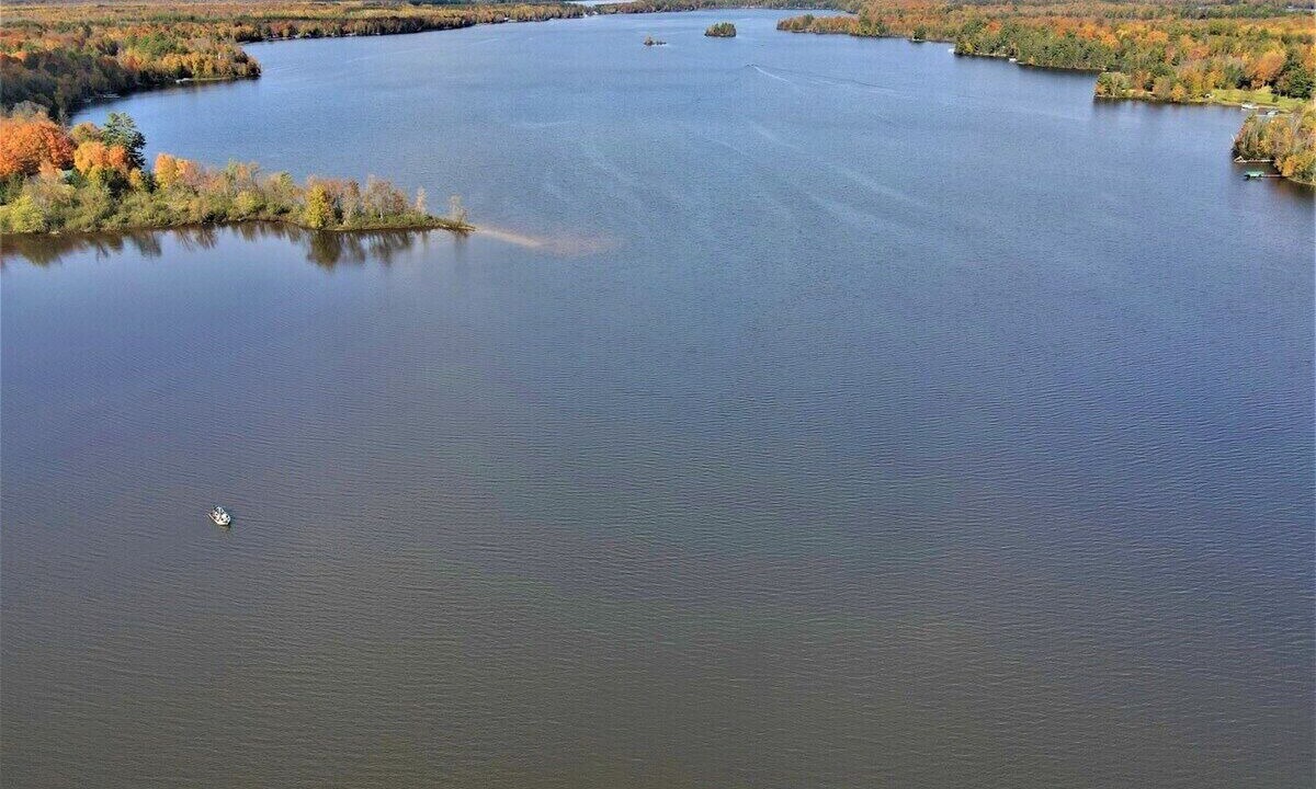 Photo of Outdoor in Park Falls