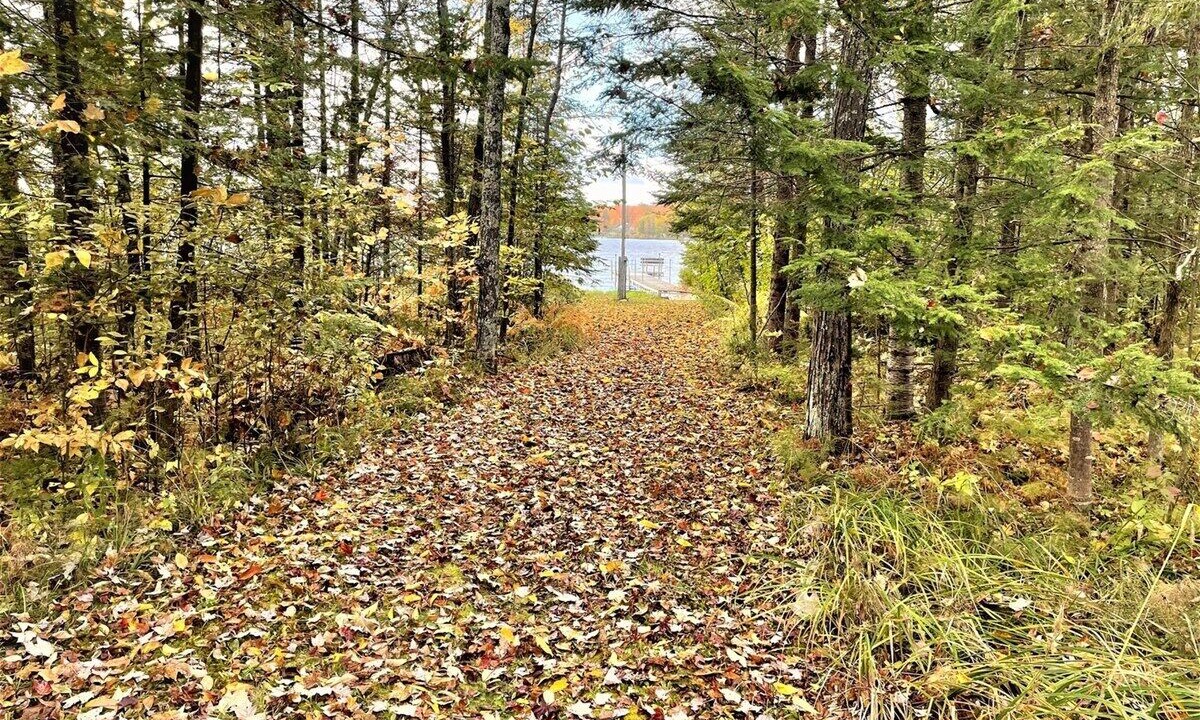 Photo of Others in Park Falls