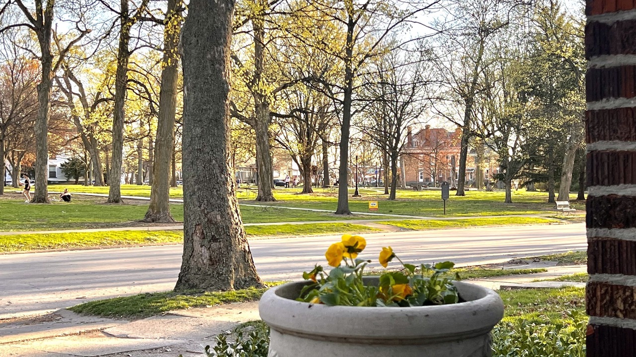 Photo of Others in Bloomington