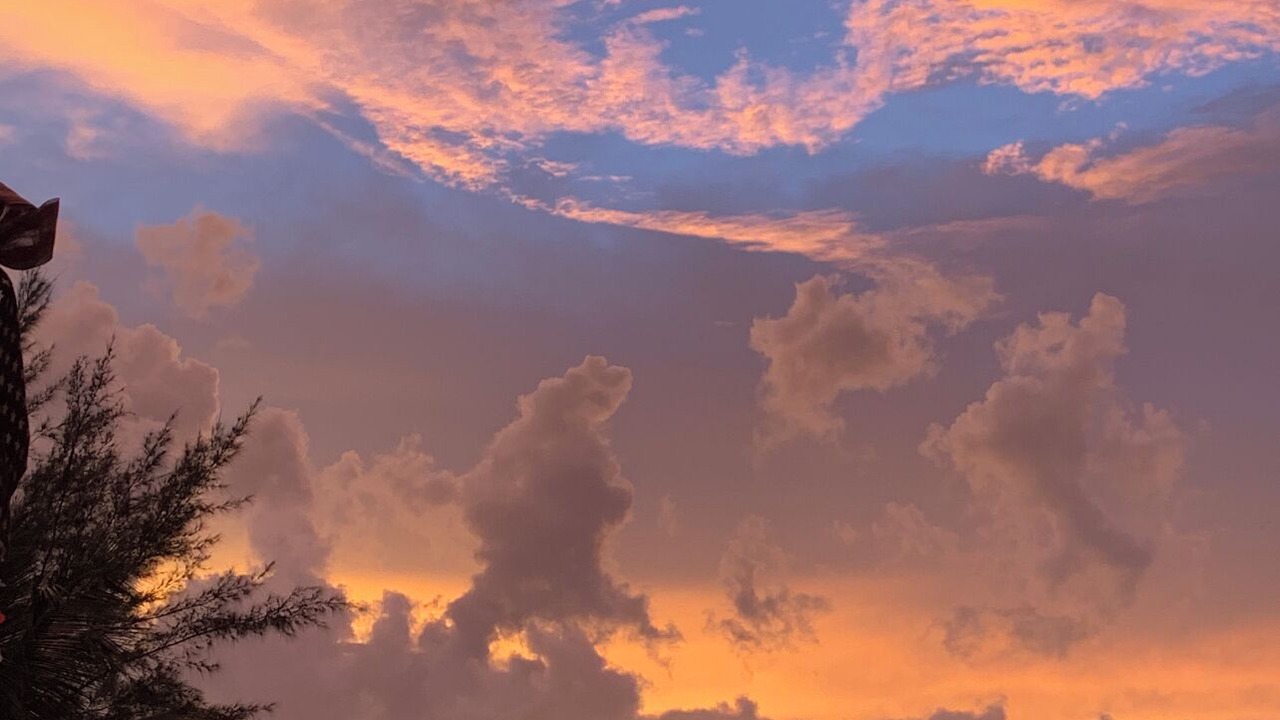 Photo of Outdoor in Key Largo