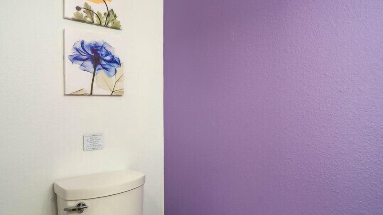 Photo of Bathroom in Wesley Chapel South