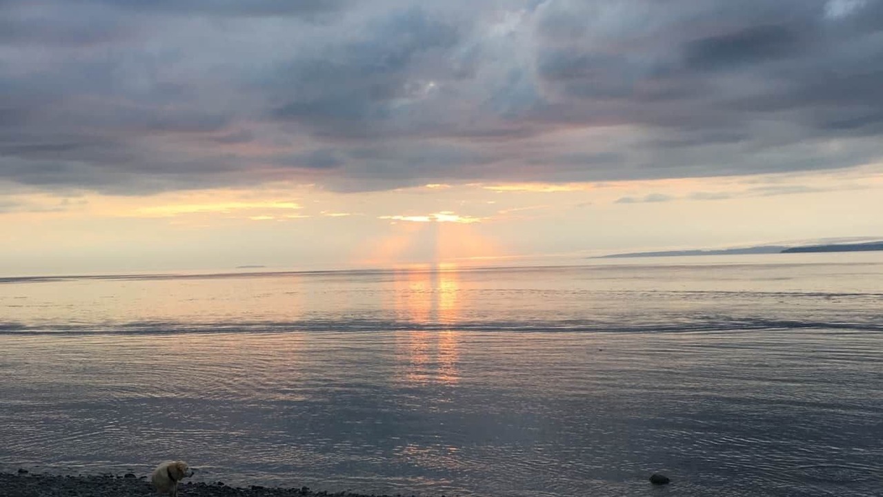 Photo of Others in Kingsport