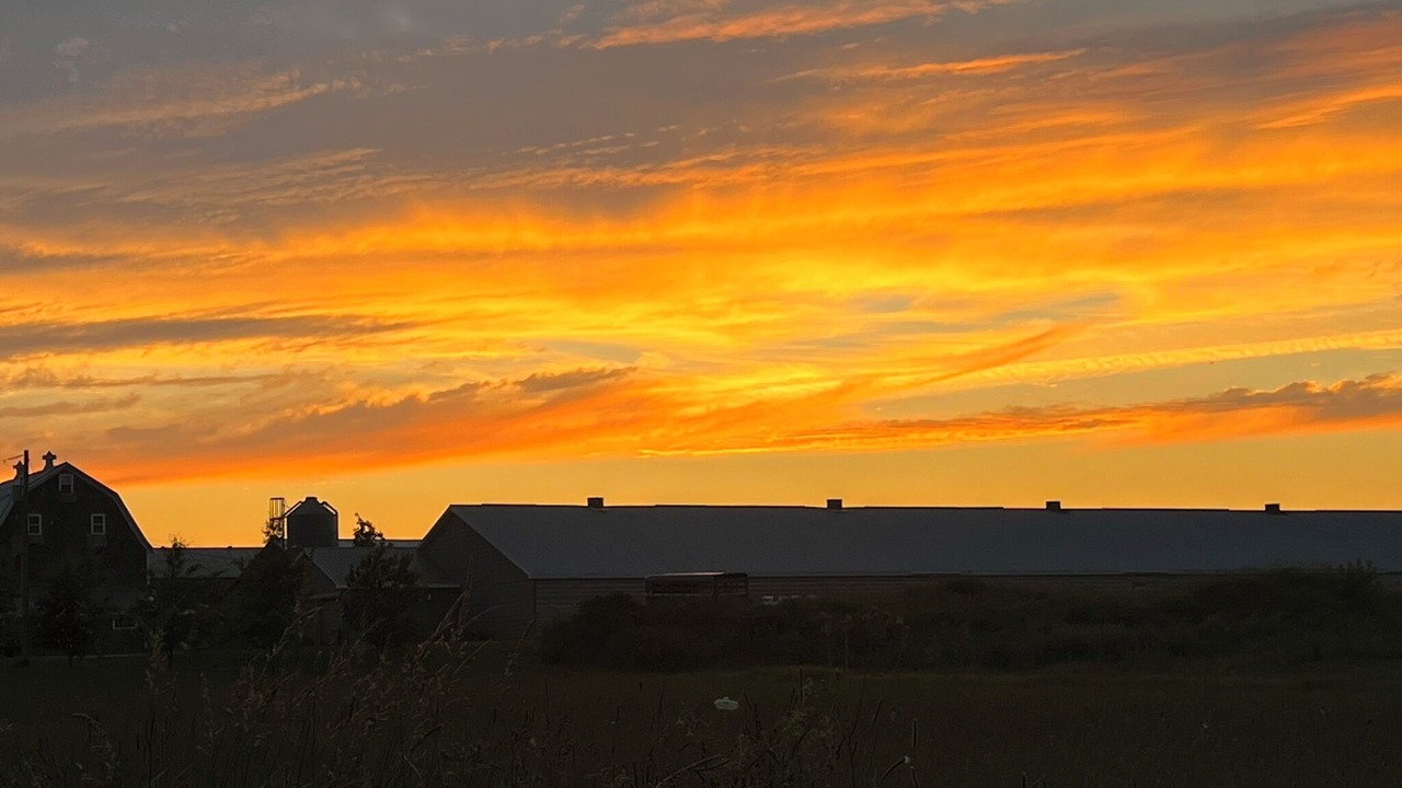 Photo of Others in Kingsport