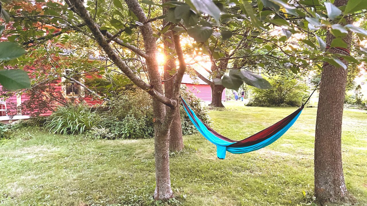 Photo of Others in Kingsport