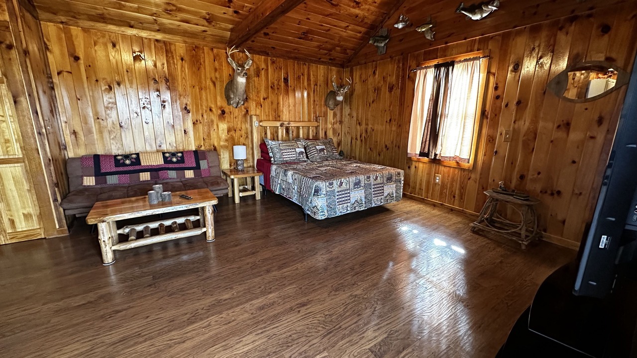 Photo of Livingroom in Wellington