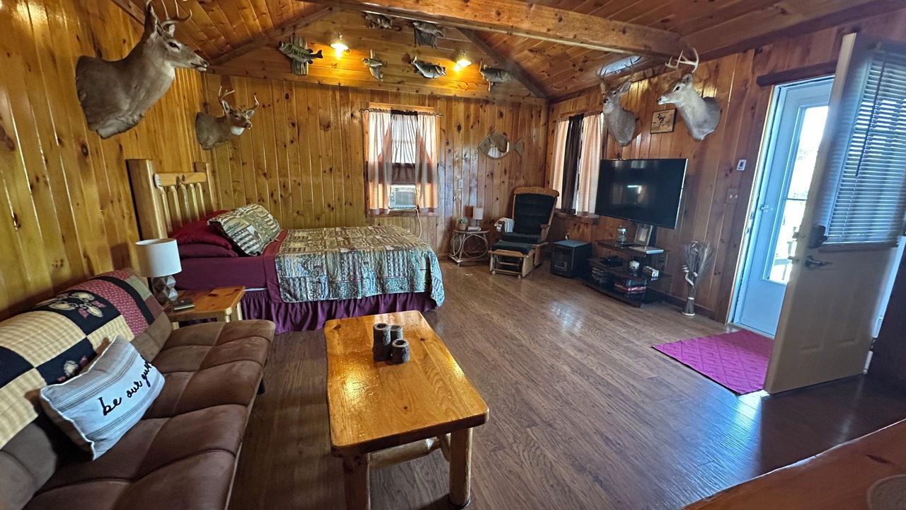 Photo of Livingroom in Wellington