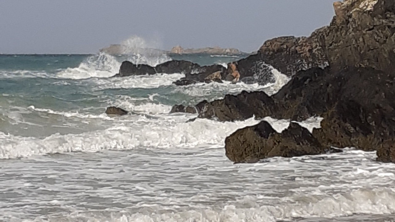 Photo of Others in Saint-Lormel