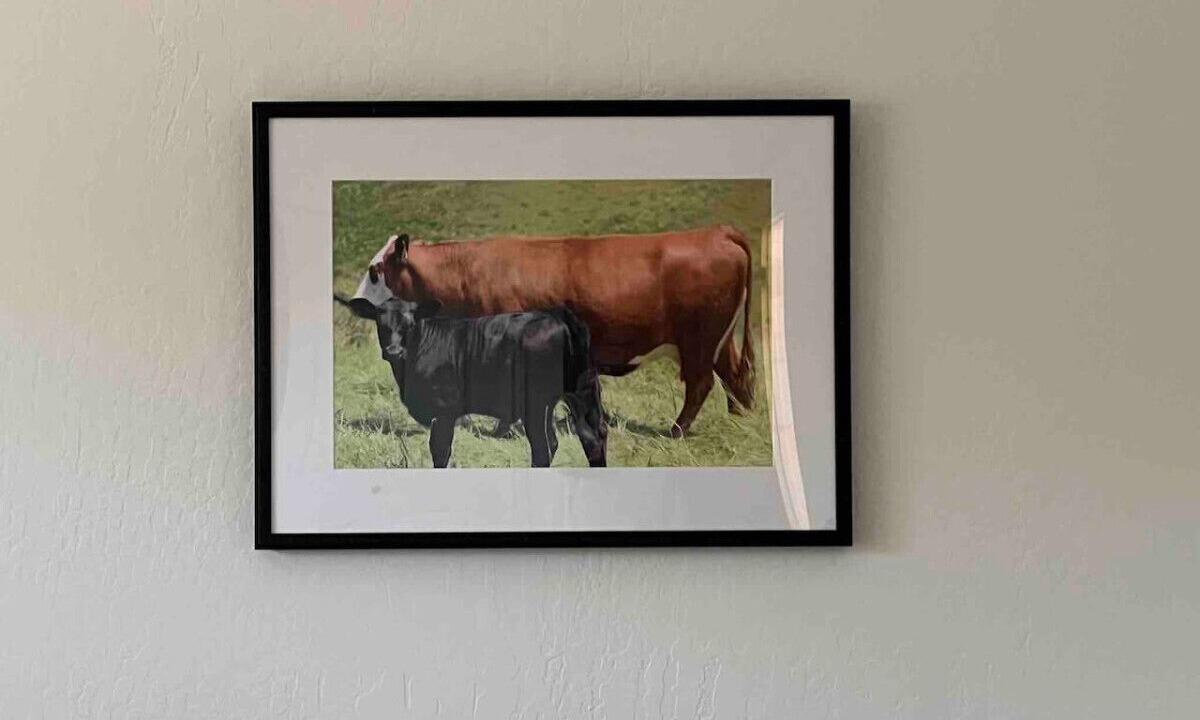 Photo of Others in Point Reyes Station